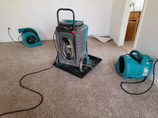 Best 24-hour water damage restoration  in Garrett, TX