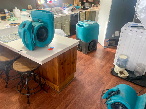 Best Water damage cleanup near me  in Garrett, TX