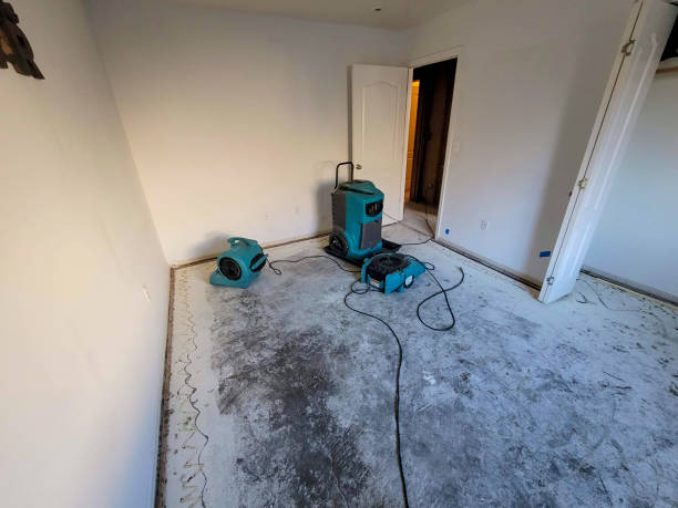 Best Flood restoration services  in Garrett, TX