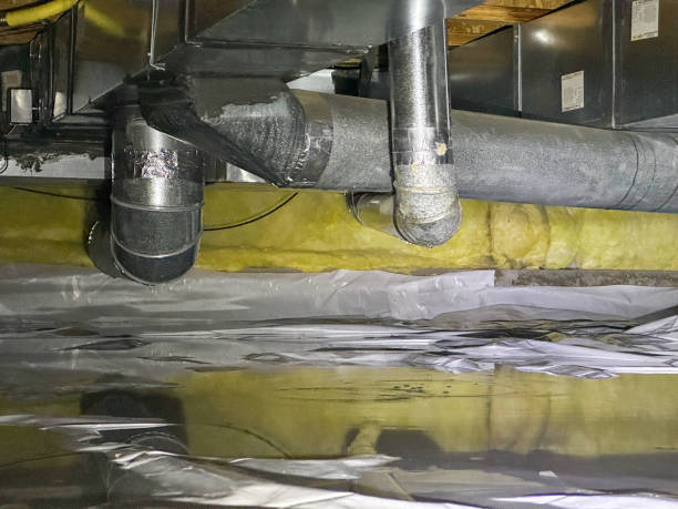Best Flood damage cleanup  in Garrett, TX